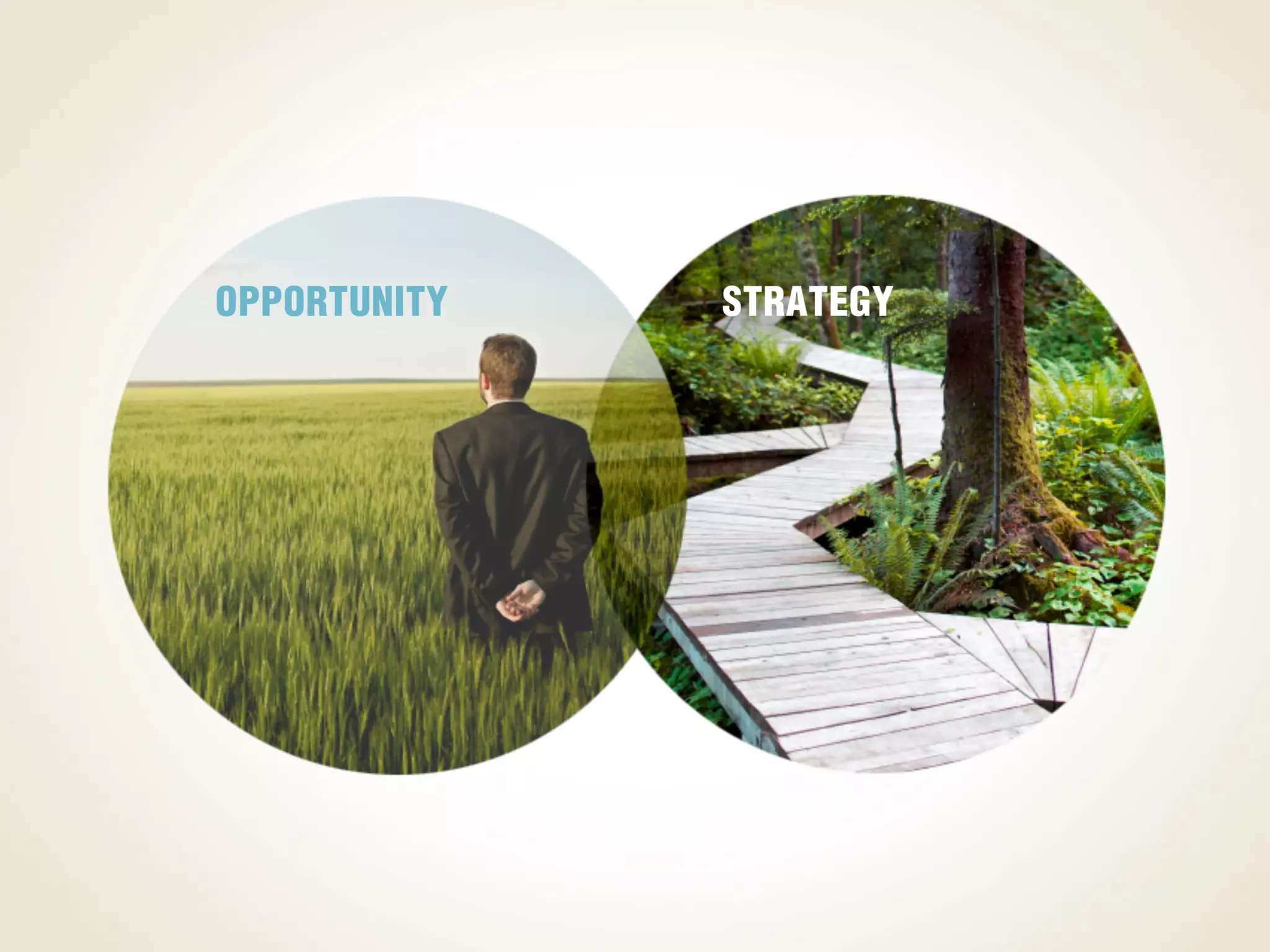 Venn Diagram Template