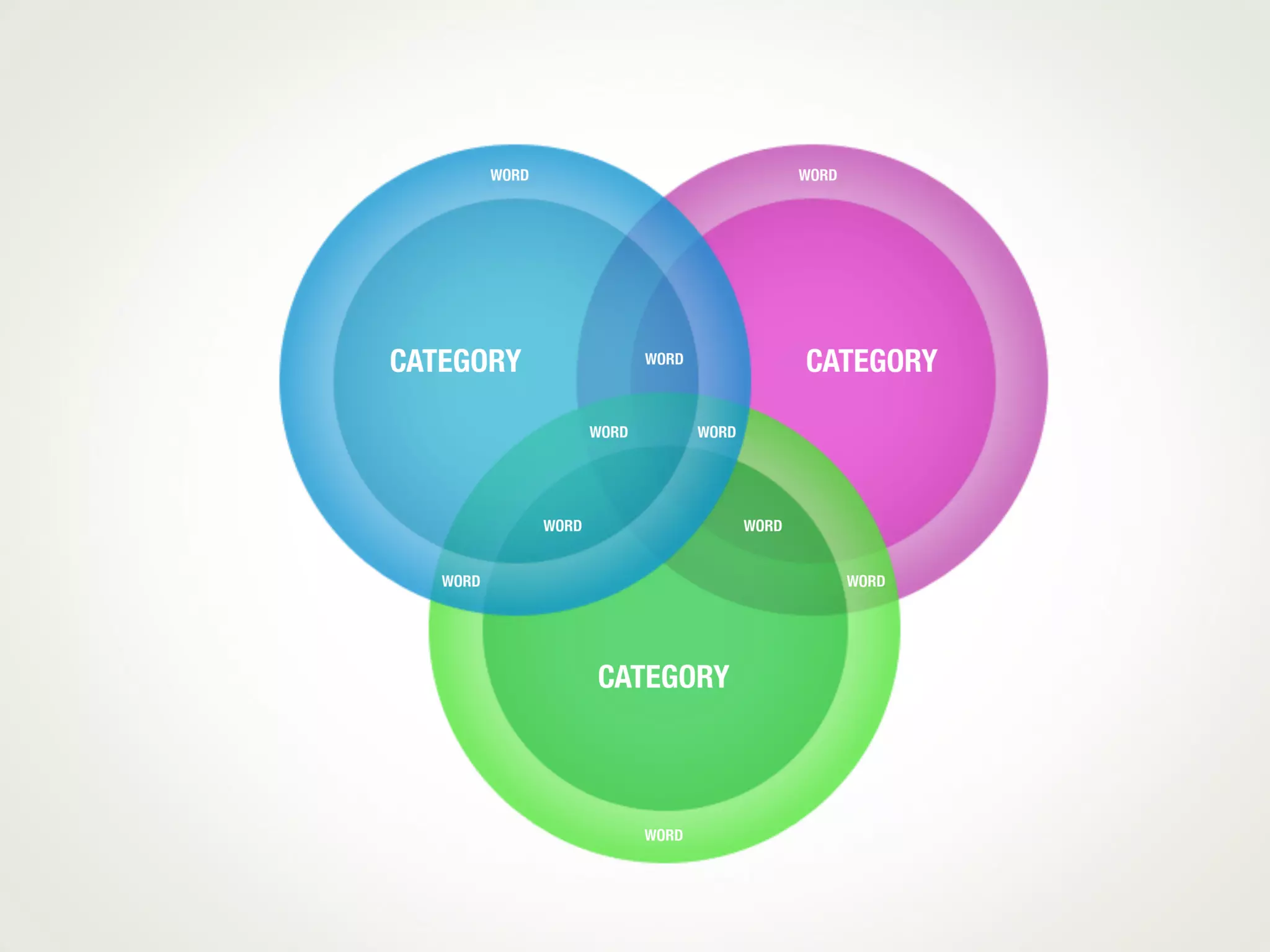 Venn Diagram Template