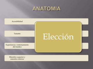 ANATOMIA 
