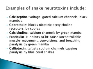 Calciseptine Venomous and non venomus snakes | PPTX