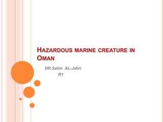 Hazardous marine creature in Oman  DR.Salim  AL-Jabri             R1 