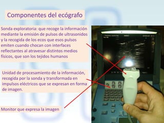 Componentes del ecógrafo
Sonda exploratoria: que recoge la información
mediante la emisión de pulsos de ultrasonidos
y la recogida de los ecos que esos pulsos
emiten cuando chocan con interfaces
reflectantes al atravesar distintos medios
físicos, que son los tejidos humanos

Unidad de procesamiento de la información,
recogida por la sonda y transformada en
impulsos eléctricos que se expresan en forma
de imagen.

Monitor que expresa la imagen

 