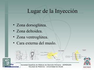 Lugar de la Inyección
• Zona dorsoglútea.
• Zona deltoidea.
• Zona ventroglútea.
• Cara externa del muslo.
VíaVía
IntramuscularIntramuscular
 