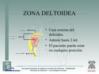 ZONA DELTOIDEA
• Cara externa del
deltoides.
• Admite hasta 2 ml.
• El paciente puede estar
en cualquier posición.
VíaVía
IntramuscularIntramuscular
 