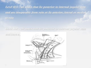 Venous and lymphatic drainage of head | PPT