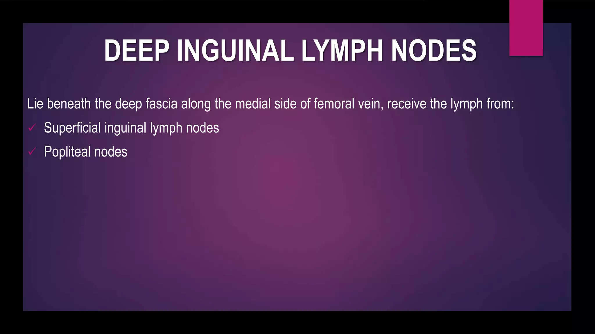 DEEP INGUINAL LYMPH NODES
Lie beneath the deep fascia along the medial side of femoral vein, receive the lymph from:
 Superficial inguinal lymph nodes
 Popliteal nodes
 