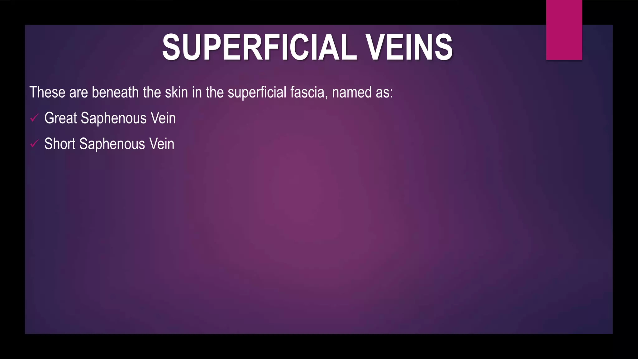 SUPERFICIAL VEINS
These are beneath the skin in the superficial fascia, named as:
 Great Saphenous Vein
 Short Saphenous Vein
 