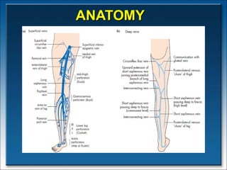 ANATOMY  