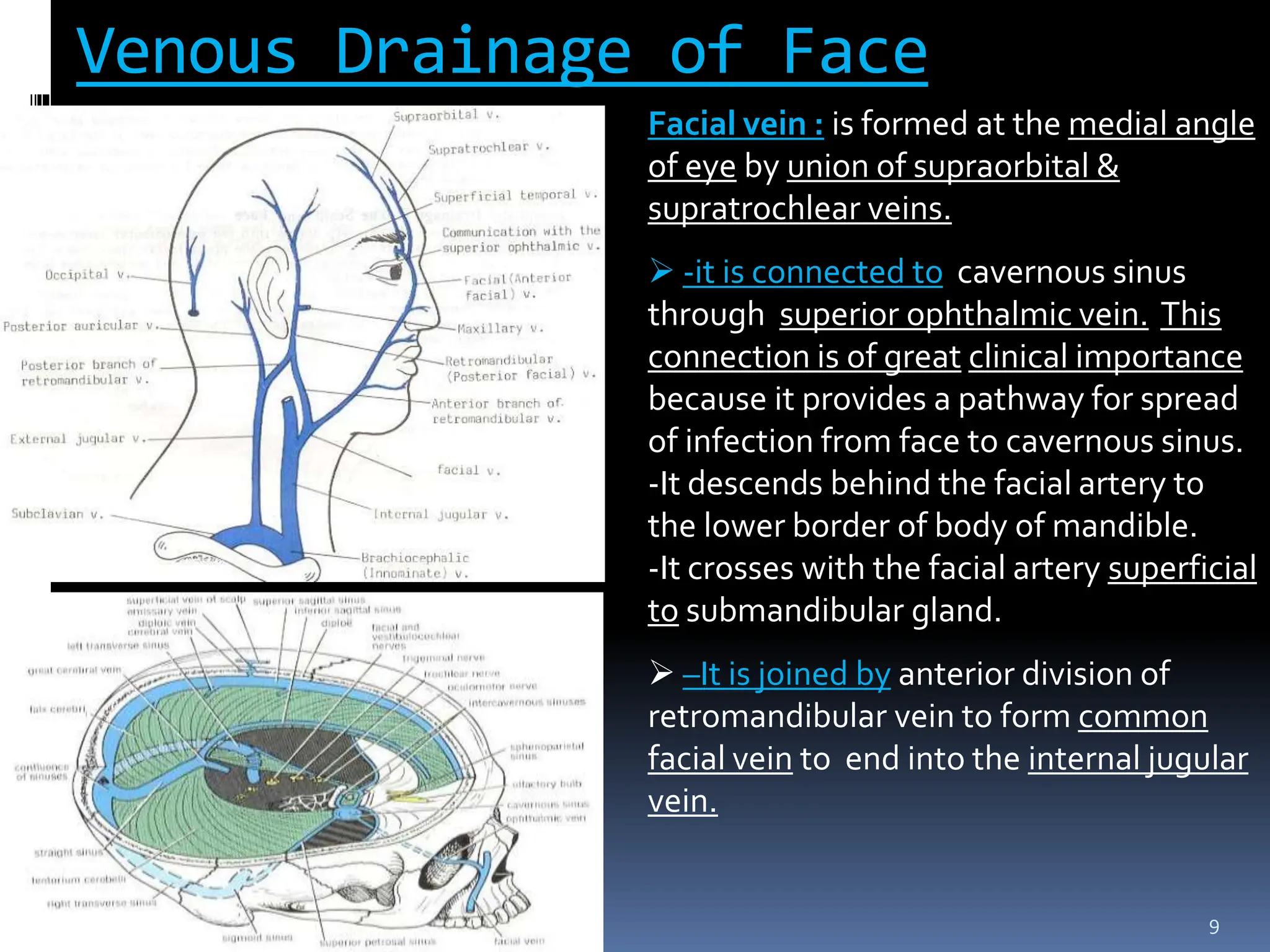 VENOUS DRAINAGE OF FACE pptx