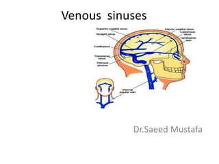 Venous sinuses




           Dr.Saeed Mustafa
 