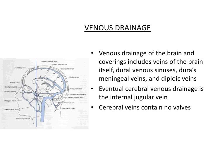 Venous Sinuses Venous Sinuses