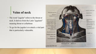 Venous Supply of head, neck and face.pptx