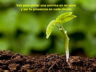 Ven para pintar una sonrisa en mi alma
y ser tu presencia en cada rincón.

 