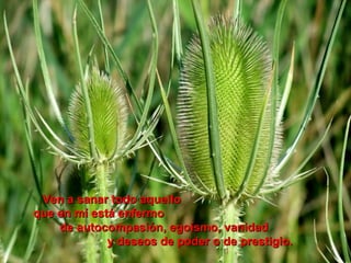 Ven a sanar todo aquello
que en mí está enfermo
de autocompasión, egoísmo, vanidad
y deseos de poder o de prestigio.

 