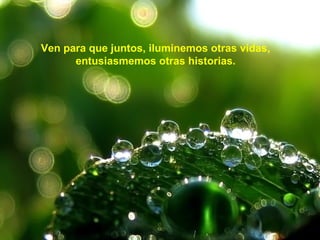 Ven para que juntos, iluminemos otras vidas,
entusiasmemos otras historias.

 