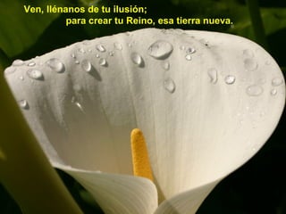 Ven, llénanos de tu ilusión;
para crear tu Reino, esa tierra nueva.

 