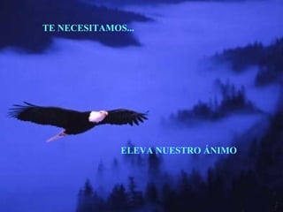 TE NECESITAMOS... ELEVA NUESTRO ÁNIMO 