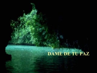 DAME DE TU PAZ 
