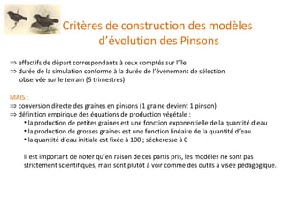 Critères de construction des modèles  d’évolution des Pinsons effectifs de départ correspondants à ceux comptés sur l’île durée de la simulation conforme à la durée de l’évènement de sélection observée sur le terrain (5 trimestres) MAIS : conversion directe des graines en pinsons (1 graine devient 1 pinson) définition empirique des équations de production végétale : la production de petites graines est une fonction exponentielle de la quantité d’eau la production de grosses graines est une fonction linéaire de la quantité d’eau la quantité d’eau initiale est fixée à 100 ; sécheresse à 0 Il est important de noter qu’en raison de ces partis pris, les modèles ne sont pas strictement scientifiques, mais sont plutôt à voir comme des outils à visée pédagogique. 