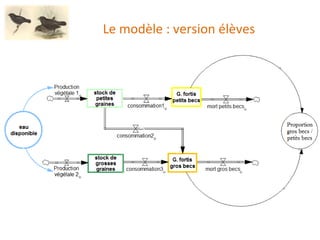 Le modèle : version élèves 