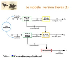 Le modèle : version élèves (1) Fichier :  PinsonsGalapagos2004b.mdl 