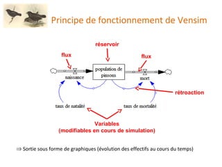 Principe de fonctionnement de Vensim réservoir flux Variables (modifiables en cours de simulation) rétroaction flux Sortie sous forme de graphiques (évolution des effectifs au cours du temps) 