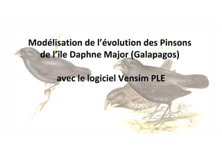 Modélisation de l’évolution des Pinsons  de l’île Daphne Major (Galapagos)  avec le logiciel Vensim PLE 