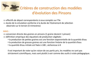 Critères de construction des modèles
d’évolution des Pinsons
 effectifs de départ correspondants à ceux comptés sur l’île
 durée de la simulation conforme à la durée de l’évènement de sélection
observée sur le terrain (5 trimestres)
MAIS :
 conversion directe des graines en pinsons (1 graine devient 1 pinson)
 définition empirique des équations de production végétale :
• la production de petites graines est une fonction exponentielle de la quantité d’eau
• la production de grosses graines est une fonction linéaire de la quantité d’eau
• la quantité d’eau initiale est fixée à 100 ; sécheresse à 0
Il est important de noter qu’en raison de ces partis pris, les modèles ne sont pas
strictement scientifiques, mais sont plutôt à voir comme des outils à visée pédagogique.
 