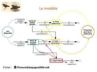 Le modèle
Fichier : PinsonsGalapagos2004.mdl
 