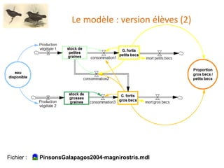 Le modèle : version élèves (2)
Fichier : PinsonsGalapagos2004-magnirostris.mdl
 