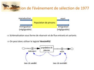 Modélisation de l’évènement de sélection de 1977
Population de pinsons
mort
émigration
(négligeable)
reproduction
immigration
(négligeable)
 Schématisation sous forme de réservoir et de flux entrants et sortants
 On peut donc utiliser le logiciel VensimPLE
 
