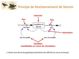 Principe de fonctionnement de Vensim
réservoir
flux
Variables
(modifiables en cours de simulation)
rétroaction
flux
 Sortie sous forme de graphiques (évolution des effectifs au cours du temps)
 