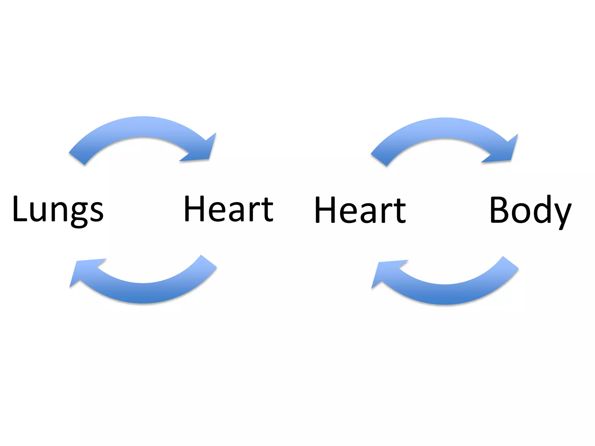 Lungs

Heart Heart

Body

 