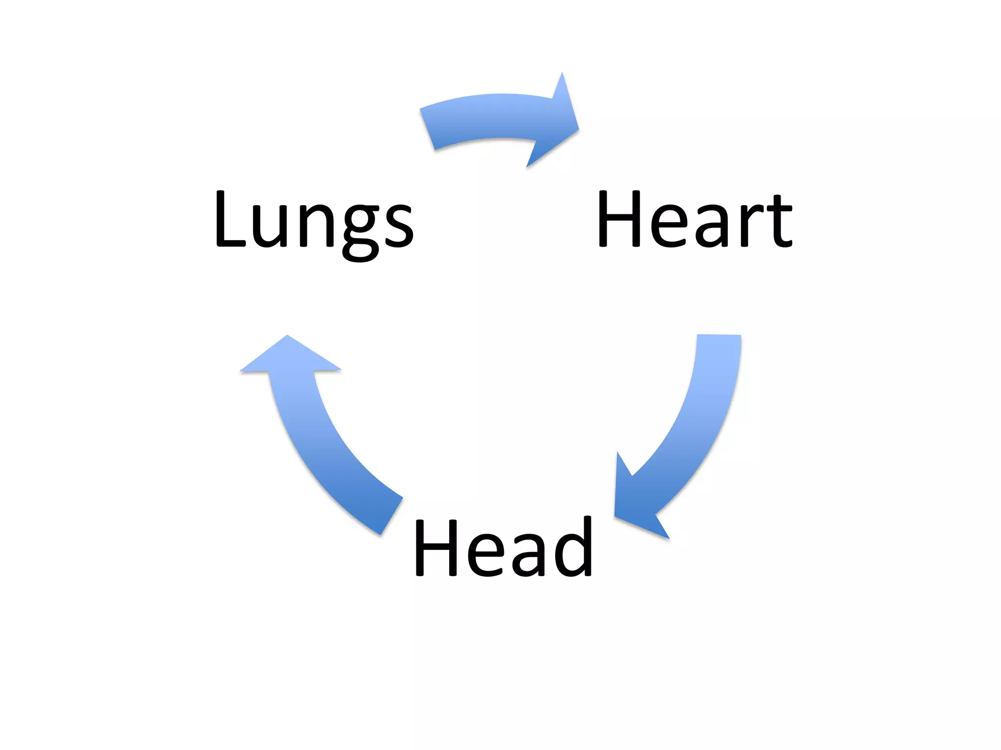 Lungs

Heart

Head

 