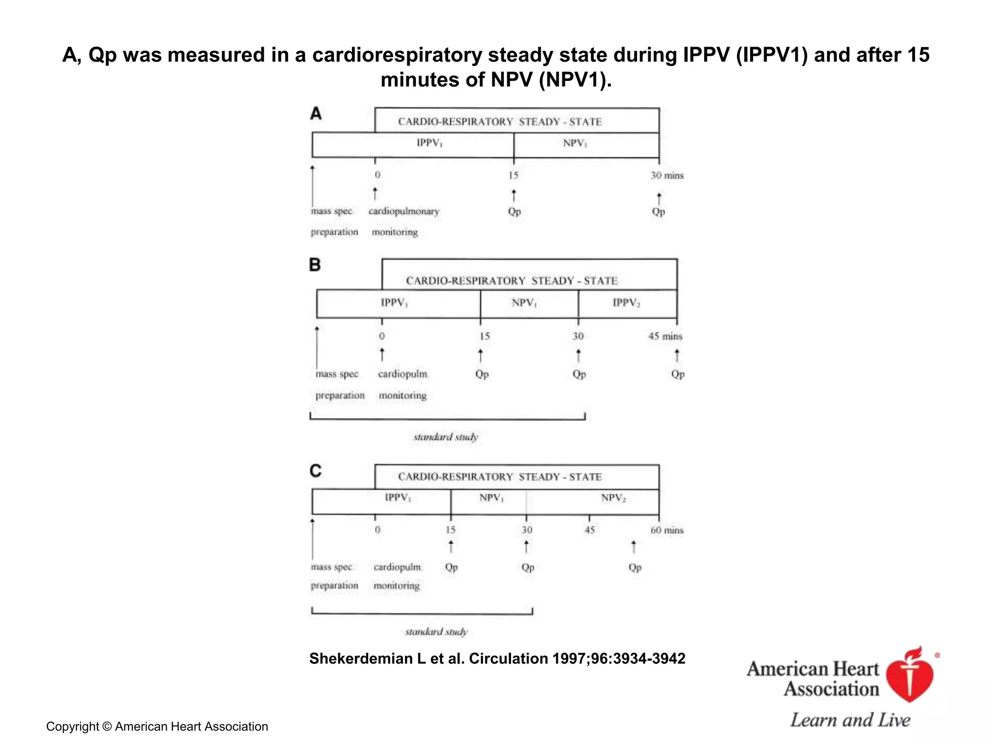 A, Qp was measured in a cardiorespiratory steady state during IPPV (IPPV1) and after 15
minutes of NPV (NPV1).

Shekerdemian L et al. Circulation 1997;96:3934-3942

Copyright © American Heart Association

 
