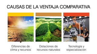 CAUSAS DE LA VENTAJA COMPARATIVA
Diferencias de
clima y recursos
Dotaciones de
recursos naturales
Tecnología y
especialización
 