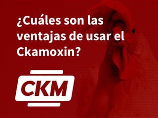 ¿Cuáles son las
ventajas de usar el
Ckamoxin?
 
