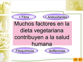 Muchos factores en la dieta vegetariana contribuyen a la salud humana + Fibra Fitoqu í micos + Antioxidantes Isoflavonas 