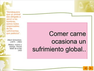 Comer carne ocasiona un sufrimiento global.. “ Dondequiera que un animal sea obligado a servir a los hombres, somos todos responsables de los sufrimientos que padezca”. Albert Schweitzer, (1875 – 1965) Médico, músico y teólogo. Premio Nóbel de la Paz 1952 