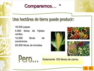 Solamente 100 libras de carne . Comparemos…  * 16.000 papas 4.000 libras de frijoles verdes 12.000 libras de zanahorias 20.000 libras de tomates Una hectárea de tierra puede producir: Pero... 