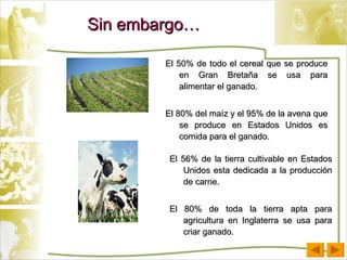 Sin embargo… El 56% de la tierra cultivable en Estados Unidos esta dedicada a la producción de carne. El 80% de toda la tierra apta para agricultura en Inglaterra se usa para criar ganado. El 50% de todo el cereal que se produce en Gran Bretaña se usa para alimentar el ganado. El 80% del maíz y el 95% de la avena que se produce en Estados Unidos es comida para el ganado. 