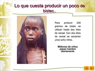 Lo que cuesta producir un poco  de bistec.. Para producir 200 gramos de bistec se utilizan hasta dos kilos de cereal. Con dos kilos de cereal se saciarían unos ocho niños.  Millones de niños pasan hambre diariamente 