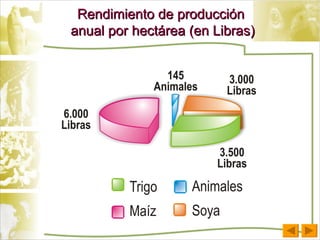 Rendimiento de producción  anual por hectárea (en Libras) 