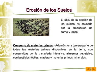 Erosión de los Suelos El 58% de la erosión de los suelos es causada por la producción de carne y leche. Consumo de materias primas .- Además, una tercera parte de todas las materias primas disponibles en la tierra, son consumidas por la ganadería intensiva: alimentos vegetales, combustibles fósiles, madera y materias primas minerales.  