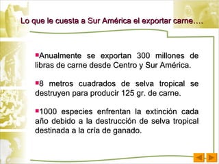 Lo que le cuesta a Sur América el exportar carne…. Anualmente se exportan 300 millones de libras de carne desde Centro y Sur América. 8 metros cuadrados de selva tropical se destruyen para producir 125 gr. de carne. 1000 especies enfrentan la extinción cada año debido a la destrucción de selva tropical destinada a la cría de ganado. 