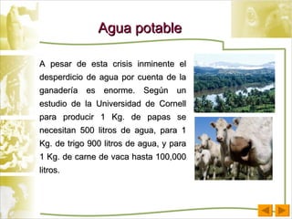 Agua potable A pesar de esta crisis inminente el desperdicio de agua por cuenta de la ganadería es enorme. Según un estudio de la Universidad de Cornell para producir 1 Kg. de papas se necesitan 500 litros de agua, para 1 Kg. de trigo 900 litros de agua, y para 1 Kg. de carne de vaca hasta 100,000 litros.  