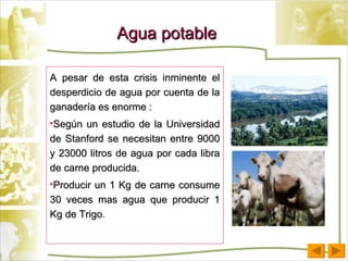 A pesar de esta crisis inminente el desperdicio de agua por cuenta de la ganadería es enorme : Según un estudio de la Universidad de Stanford se necesitan entre 9000 y 23000 litros de agua por cada libra de carne producida.  Producir un 1 Kg de carne consume 30 veces mas agua que producir 1 Kg de Trigo. Agua potable 