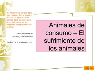 Animales de consumo – El sufrimiento de los animales “ El mundo no es una obra mal hecha y los animales no son un producto de fábrica para nuestro uso. A los animales no les debemos compasión sino justicia” Arthur Shopenhauer. (1788-1869) Filósofo Alemán La Gran Carta de Gabriele, p.81. 