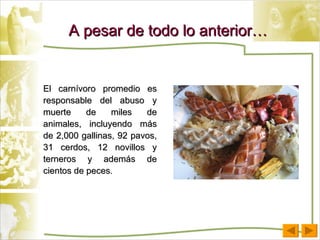 A pesar de todo lo anterior… El carnívoro promedio es responsable del abuso y muerte de miles de animales, incluyendo más de 2,000 gallinas, 92 pavos, 31 cerdos, 12 novillos y terneros y además de cientos de peces .  