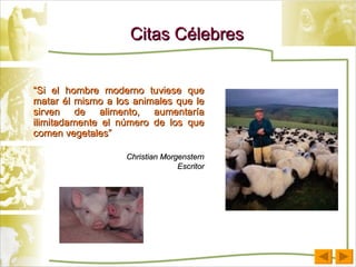 Citas Célebres “ Si el hombre moderno tuviese que matar él mismo a los animales que le sirven de alimento, aumentaría ilimitadamente el número de los que comen vegetales” Christian Morgenstern Escritor 